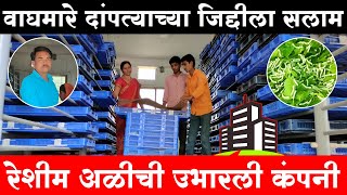 वाघमारे दांपत्याने उभारली रेशीम अळीची कंपनी | Profitable Silk Farming | रेशीम शेती | Shivar News 24