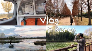 [Vlog] 🇰🇷자가격리 해제 | 독일이 아닌 한국에서 보내는 일상 | 보고싶었던 가족들과 상봉 | 장거리커플 드디어 만남 | 가을가을한 한국