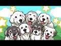 【超大型ベビー】ただただ可愛いとしかいいようがない🐻‍❄️みたいな赤ちゃん【great pyrenees】