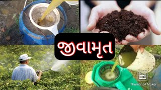 જીવામૃત બનાવવા માટે ની સરળ રીત અને ઉપયોગ # jivaamrut # organic farming .