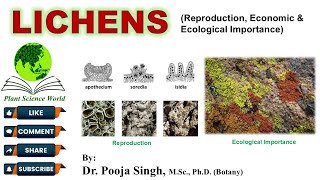 Lichen: Reproduction, Economic  and Ecological Importance