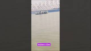 Kolkata ganga nadhi❤❤❤❤#shortvideo #jahaj #shortsfeed #viralshort