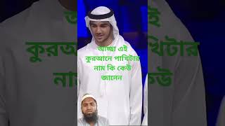 আচ্ছা এই কুরআনের পাখিটার নাম কি কেউ জানেন #ইসলামিক_ভিডিও #salehahmadtakrim #তাকরিম #duet