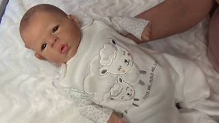 violas babystube reborn