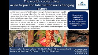 Conservation Conversations: The world's coolest birds - Prof Andrew McKechnie (25June2024)