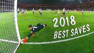 Best Goalkeeper Saves in Football 2018 HD Video