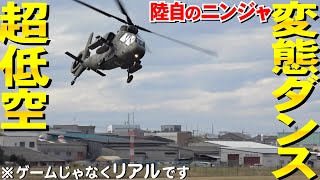 超低空で圧巻変態ダンス飛行！陸自OH-1（オメガ、ニンジャ）【エアーフェスタYAO2022】