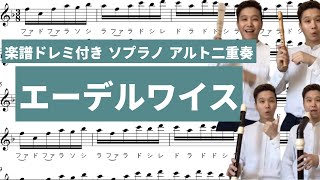 [ リコーダー演奏 ・多重録音・ソプラノ アルト二重唱楽譜ドレミ付き] 「エーデルワイス」（ フルート ・ バイオリン ） コダリコダ