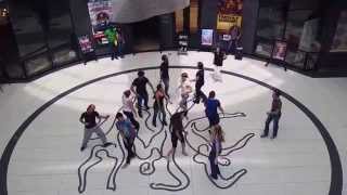 2015 Johannesburg Flash Mob at Cresta Shopping Centre with 5678