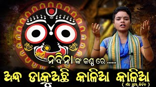 ଅନ୍ଧ ଡ଼ାକୁଅଛି କାଳିଆ କାଳିଆ ଗୀତ ସୁରେ କୀର୍ତ୍ତନ ଗୀୟୀକା - ନବିନା ମଲ୍ଲିକ ବୁଢାଡଙ୍ଗର କିର୍ତ୍ତନ ମଣ୍ଡଲି ଚିକଲବାହାଲ