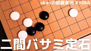 縦横無尽に受け切る、小目の二間バサミのツケ引き型【囲碁実況#1086】