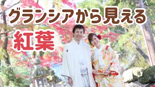 【翠ケ丘公園の紅葉♡】福島県須賀川市、郡山市で人気の結婚式場　【グランシア須賀川】口コミで高評価のナチュラルウェディング　インスタフォロワー数2万人以上　グランピングウェディング　紅葉