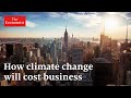 How can business survive climate change?
