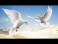 One of THE BEST NASHEED IN THE WORLD 2014 NEW