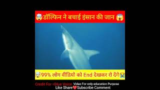 🤯shark के हमले से बचाया डॉल्फिन ने इंसान की जान😱@MRINDIANHACKER @FactTechz#short#youtubeshort