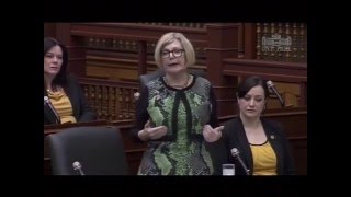 MPP Cheri DiNovo - 3rd Reading of PTSD Bill