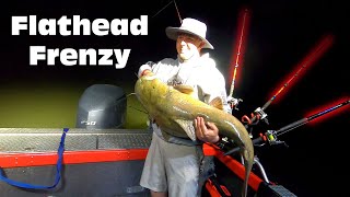 Catching the Giant North American Flathead Catfish.