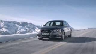 Audi RS4 Sights \u0026 Sounds - Beauty, Exhaust, Fly-by - Everyday Driver