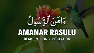 Amanar Rasulu Bima Unzila Ilayhi | Amana Rasul Surah | Beautiful Quran Recitation