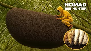 Honey Hunting Tradition Wild Honey Collection in Southeast Asia