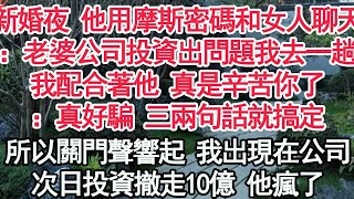 新婚夜 他用摩斯密碼和女人聊天：老婆公司投資出問題我去一趟，我配合著他 真是辛苦你了：真好騙 三兩句話就搞定，所以關門聲響起 我出現在公司，次日投資撤走10億 他瘋了【顧亞男】【高光女主】【爽文】