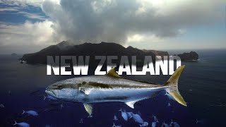 New Zealand Spearfishing Teaser - Diving For A Cause