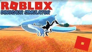 roblox showcase skin