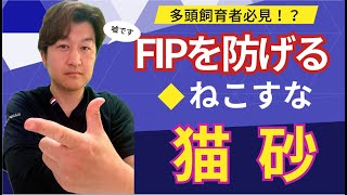 FIPの感染を防げる魔法の猫砂！？　猫伝染性腹膜炎FIP治療の実際 2024年⑤