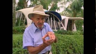 Jacque Fresco - Engineering the Impossible (2002)
