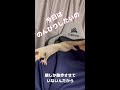 【 フクロモモンガ 】朝散歩行かないの？ おはモモンガ 蜜袋鼯 슈가글라이더 フクモモ sugerglider モモンガ shorts