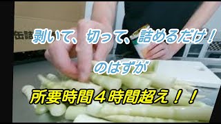 初挑戦！秋田の山奥で採ったネマガリダケの缶詰作り！