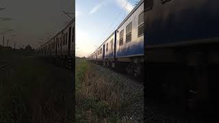 kannur to shoranur memu express #shorts #trending #new #rail #train #indianrailways #like #kerala