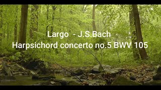 J.S.Bach - Largo (Harpsichord concerto no.5 BWV 105)