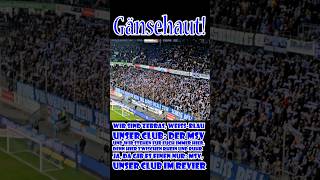 Gänsehaut: Ganzes Stadion singt: "Wir sind Zebras weiß-blau" - MSV Duisburg Hymne