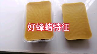 怎么识别好蜂蜡，诱蜂全靠它