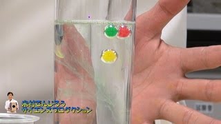 【実験71】水中シャボン玉スペシャル　自由研究 / 米村でんじろう[公式]