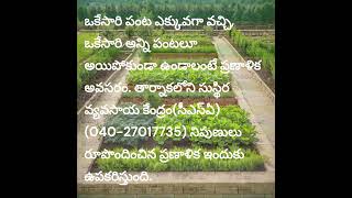 Terrace Gardening for Beginners | టెర్రేస్ గార్డెనింగ్: మీరు తెలుసుకోవలసినవి | ఎ బిగినర్స్ గైడ్ |