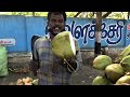 vlog 10 which coconut is best for health green or orange chennai india