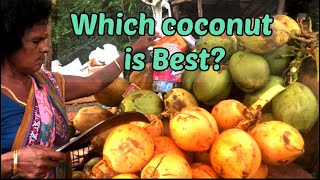 Vlog 10- Which Coconut is best for health? Green or Orange? | Chennai | India