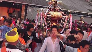 30年  平塚   三嶋神社 「須賀の祭り」本社神輿町内渡御　迫力満点（生）。