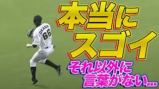 プロ野球選手による、本当にスゴイ【スーパープレー】