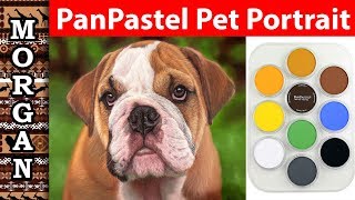 Drawing dog fur - Master Pet Portrait: Quick PanPastel and Pastel Pencil Tutorial