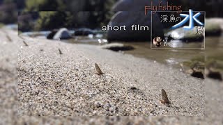 Vlog風景　フライフィッシングshort film　2022日野川　オオクママダラの羽化　ライズアップするヤマメたち