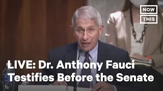 Dr. Anthony Fauci Testifies Before Senate HELP Committee | LIVE | NowThis