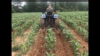 Cultivating the Sorghum crop