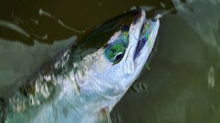 [4K] Lake Shumarinai Hokkaido 朱鞠内湖  / slow fishing