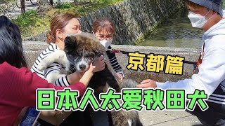 😂日本人見到忠犬八公真的都會這樣！