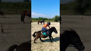 Pony games #pony #horse #ponygames #mountedgames #baby #shorts #training #workout #team #jump