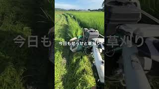 草刈りウイングモア