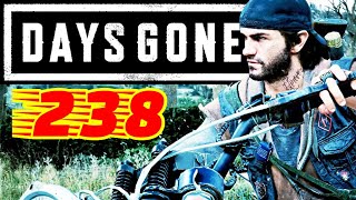 28【初期装備で行く】DAYS GONE【最高難易度:SurvivalⅡ】デイズゴーン PS5 4K画質 SurvivalⅡ ホラーサバイバルゲーム  攻略 作業用BGM おきて猫 ゲーム実況